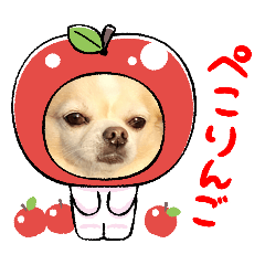 Yuri_20240308