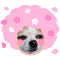 michiko_20240308064129