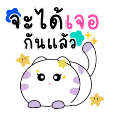 Mewwwwwwwwww