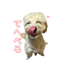 Kitamu_20240307230322