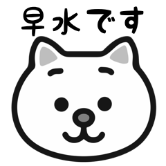 Hayamizu white cats sticker