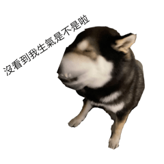 狗勾們度的