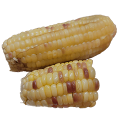 食物系列 : 一些玉米 #14