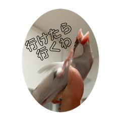 Mochar_20240308175802