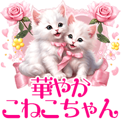 real sweet pink milky cat flowers