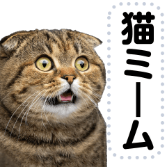AI cat meme@daily usable stickers