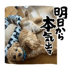 h_yuu0709_20240308204607