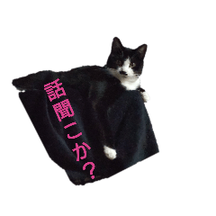 Yuri_20240308231114