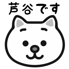 Ashiya white cats sticker