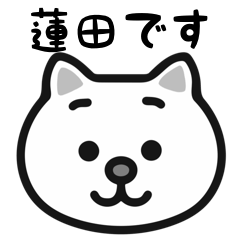 Hasuda white cats sticker