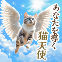 聖なる猫天使に祝福を✨