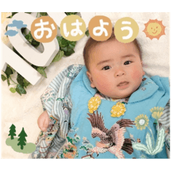 yayoi_20240309161525