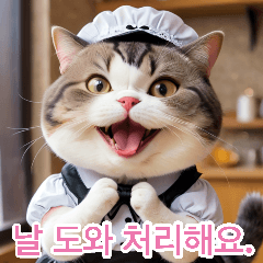 Fat House Meow Korean Version