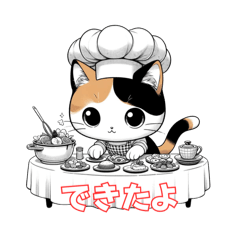 cat chef-20240310