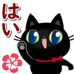 動く☆黒猫子猫ちゃん・ほめる日常(再販）