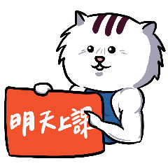Workout cat x Training reminder