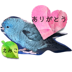 Emiko  lovely birds