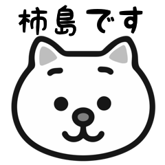 KakiShima white cats sticker