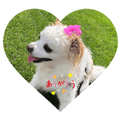 YUKA_20240309191509