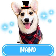 WOOFME WITH NANO