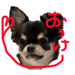 yuka_20240310122645