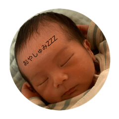 NIKORASU_20240310123157