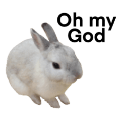Rabbit simple message