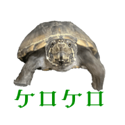 Tsunamayoko_20240310142312
