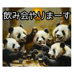 Pandas have a drinking party