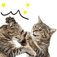 Comical Cats Pop-Up Stickers
