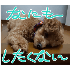 h_yuu0709_20240310163036