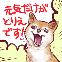 Shiba Inu, who is only energetic