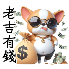 chiwawa funny
