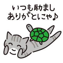 Kijitora cat stickers in daily life