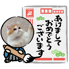 Dora生活篇