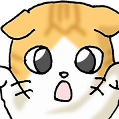 A Scottish Fold appeared. Part 1