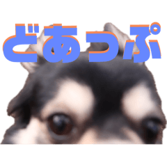 yuka_20240310194908fuku