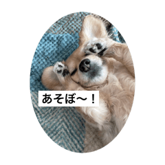 taki_20240310195307