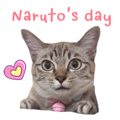 Naruto's day