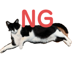 Negitama_20240310173131