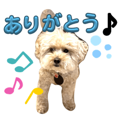 tomomi_20240310221156