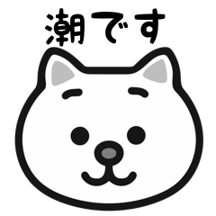 Shio white cats sticker