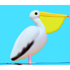 Pelican Pelican