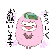Yama092_20240311171437