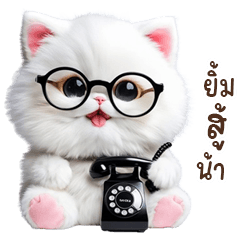 Chubby Cat,Talkative,A Black Phone 2