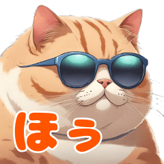 A cat wearing sunglasses and saying Hmm!