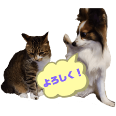 Tsubaki_20240311195340