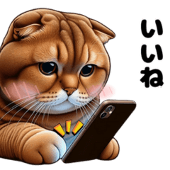 Chubby AI Cat Moco: Everyday Life