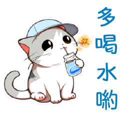 Cute Cat  Daily Life Phrases 1