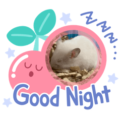 yuka_20240311234655